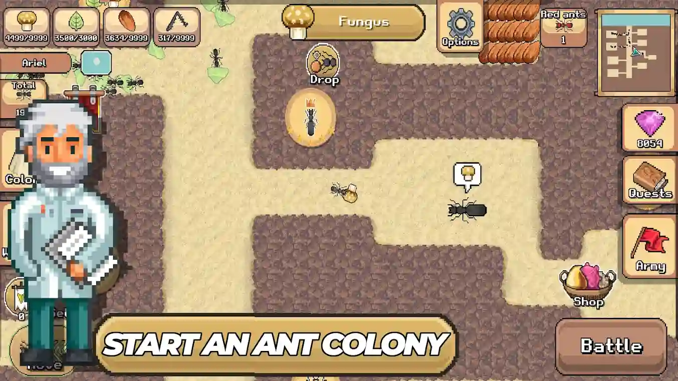 Pocket Ants Introduction