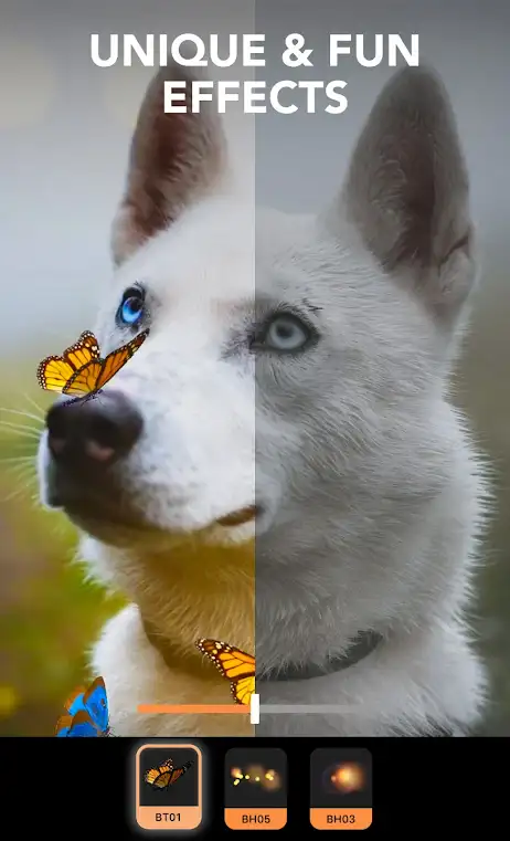 Unlimited Photo Editor & Animation CreationsUnlimited Photo Editor & Animation Creations