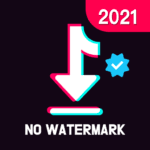 Snaptik APK v4.7 (No Ads, Without Watermark)